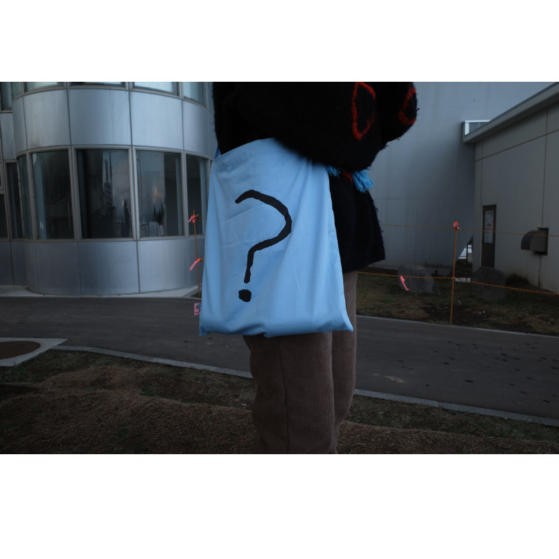 曼斯特物种问号猫布包大容量通勤帆布环保斜挎单肩包购物袋男女,淘宝优惠券,粉丝福利购,淘宝优惠卷