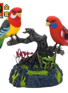 创意新款仿真会说话鹦鹉声控小鸟家居客厅卧室桌面装饰摆件送礼物