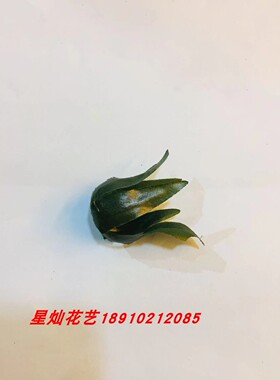 材料新款软胶非洲菊包邮丝网花