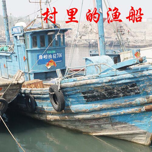 青岛特产渔民自晒淡干海米虾米金钩海鲜虾仁干货开洋即食 - 图0