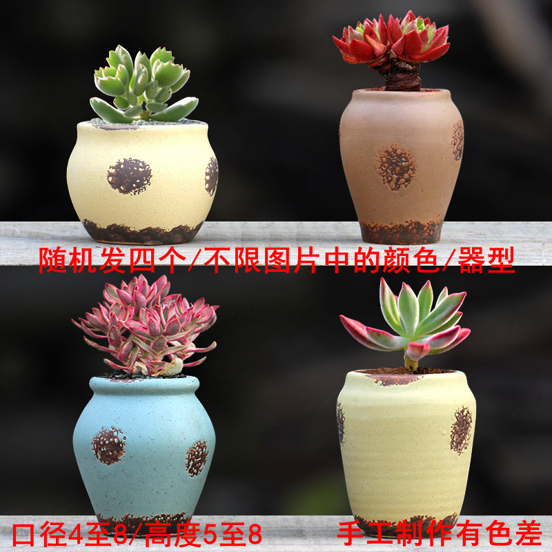 透气多肉植物花盆单棵群生中小号粗陶控养陶瓷特价创意个性拇指盆,淘宝优惠券,粉丝福利购,淘宝优惠卷