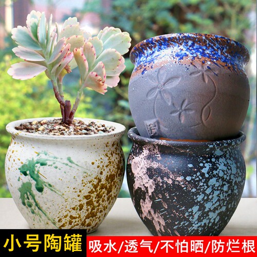 法师老桩矮胖拼盘透气多肉植物花盆乌木群生粗陶瓷大中号特价陶罐 - 图3