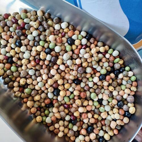 天友万家鸽粮职业蛋白转换幼鸽粮混合豌豆全豆鸽粮5斤40斤包邮 - 图3