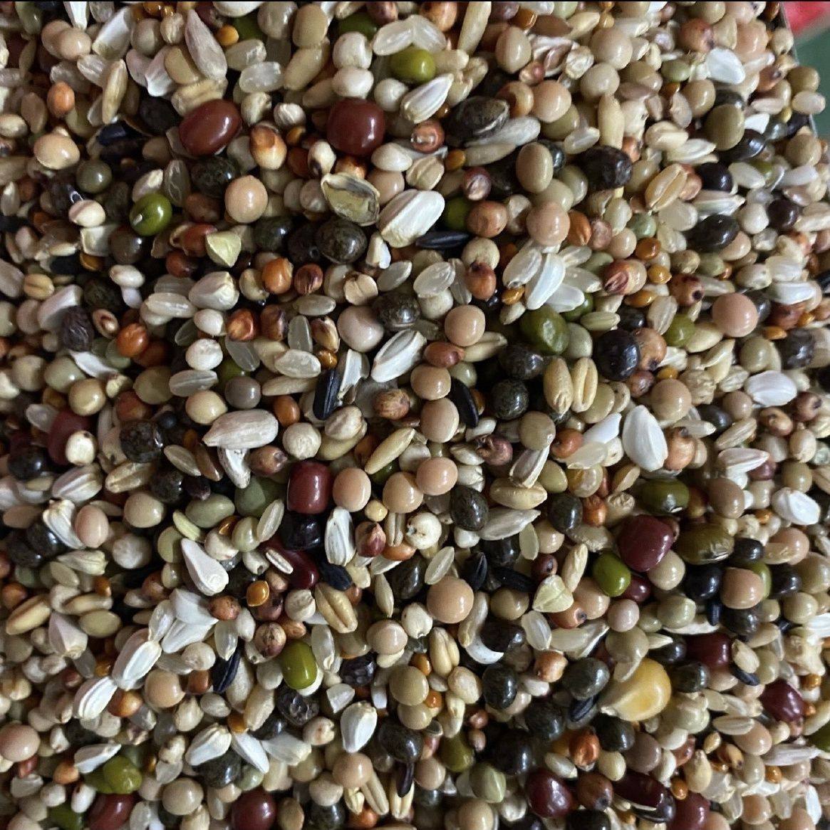 天友万家鸽粮喷窝鸽粮鸽子赛鸽种鸽幼鸽粮饲料10斤30斤50斤包邮,淘宝优惠券,粉丝福利购,淘宝优惠卷