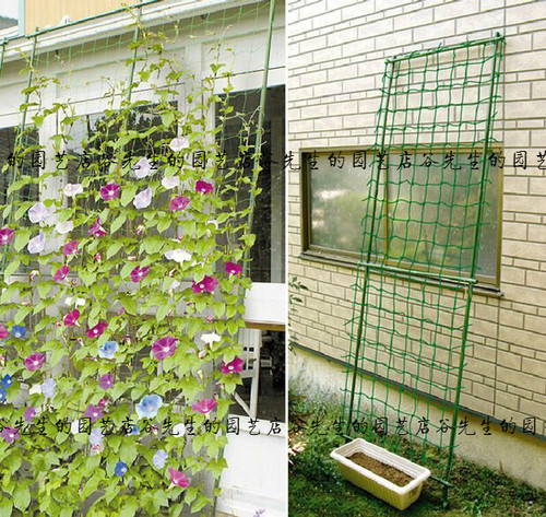 【27股线】爬藤网种植网家用户外庭院丝瓜百香果植物攀爬架园艺网 - 图1