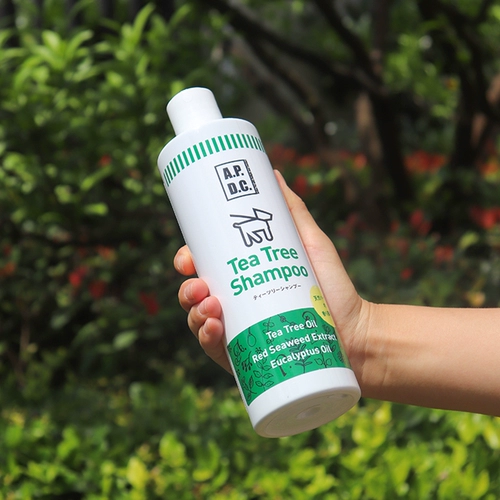 Японский импортный гель для душа, дезодорант, шампунь, эссенция чайного дерева, масло, против зуда