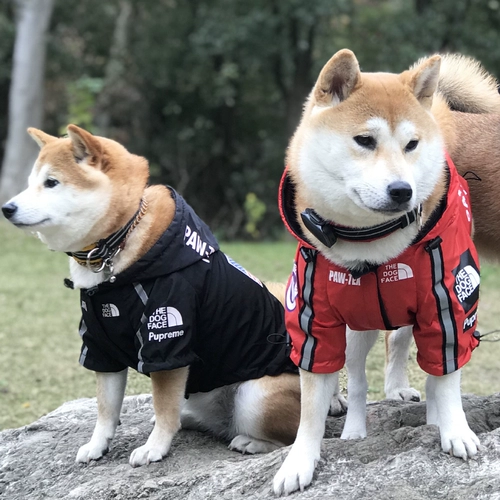 Джалочная куртка ветрозащитная плюшка Шиба Ину Корги