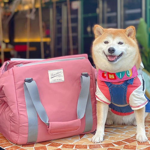 Собаки выходят, чтобы сделать собачье гнездо Шиба Ину Тедди Бомей Маленький собачий путешествие.