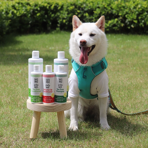 Японский импортный гель для душа, дезодорант, шампунь, эссенция чайного дерева, масло, против зуда