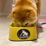 Big Dog Basin Bowl Pets Домашние домашние животные пить вода борьба с рисом собака собака Shinatu вода питье