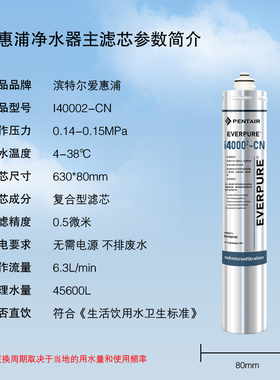 美国爱惠浦净水器主滤芯I20002CN I40002 MH2CN滤芯超滤直饮滤芯