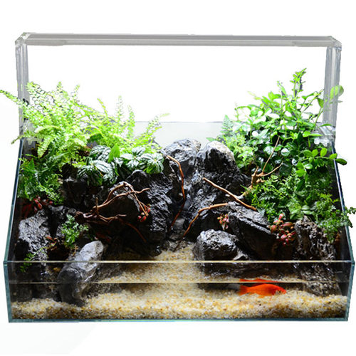 水陆缸超白 微景观草缸植物生态雨林造景鱼缸套餐水族箱 两栖鱼缸 - 图3