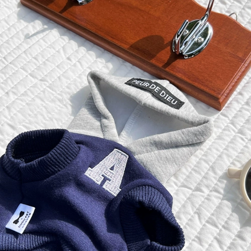 Удерживающая тепло утепленная демисезонная толстовка с капюшоном, осенний сезон