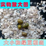 Голубь -голубь натурального порошка с натуральной раковиной Высокие добавки для голубя голубей голубей для голуби голуби для корма для здоровья яичной курицы с добавкой кальция, чтобы предотвратить клевы