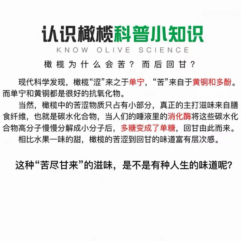 广东新鲜青橄榄潮汕特产水果生吃回甘腌制煲汤青果滇橄榄山白榄 - 图0