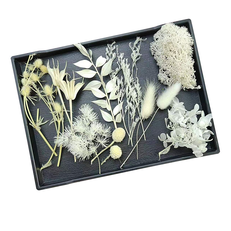 白色系永生花干花配叶配草配果DIY材料手工制作相框团扇团建礼物,淘宝优惠券,粉丝福利购,淘宝优惠卷