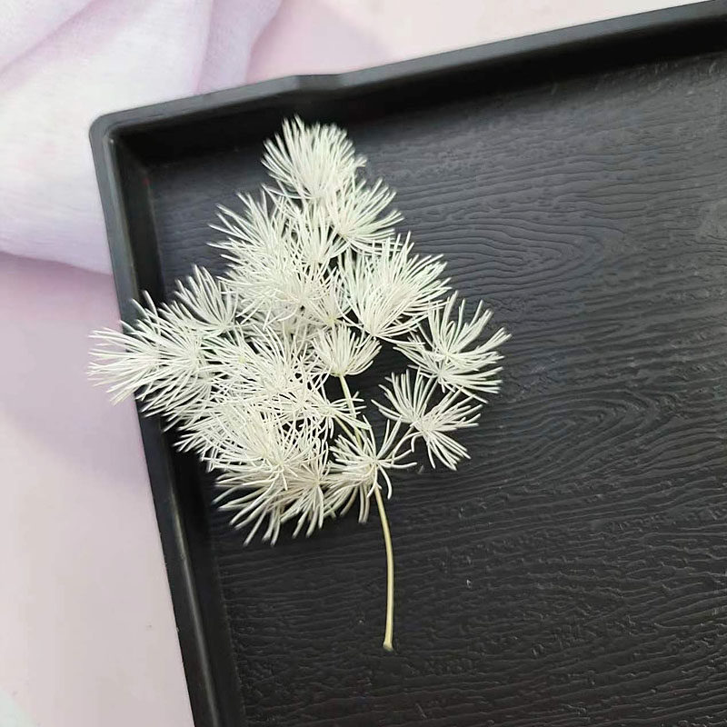 白色系永生花干花配叶配草配果DIY材料手工制作相框团扇团建礼物,淘宝优惠券,粉丝福利购,淘宝优惠卷