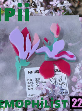 NPII耳钉原创设计亚克力