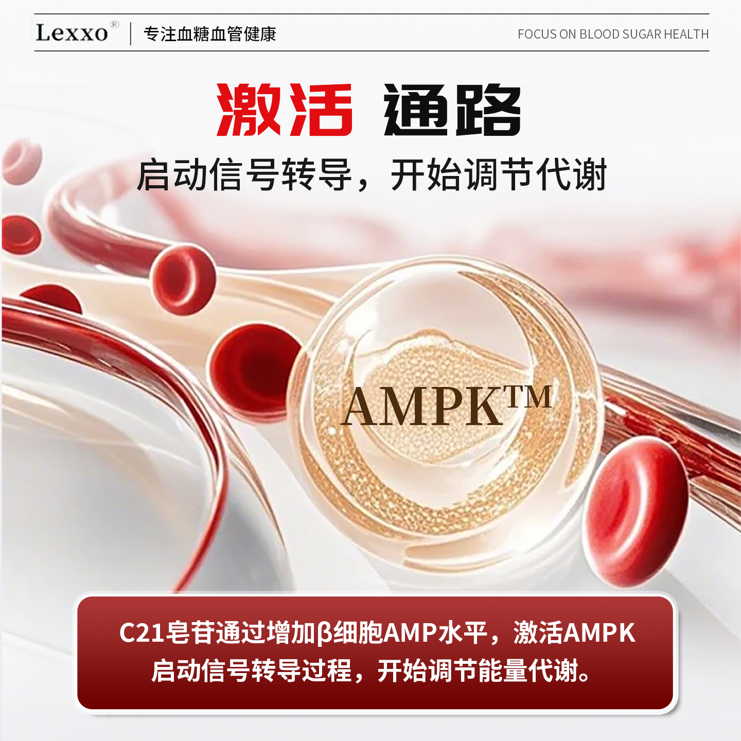 美国品牌苦瓜提取物纳豆激酶软胶囊平衡血糖铬元素保健品非双胍le,淘宝优惠券,粉丝福利购,淘宝优惠卷