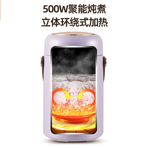 艾仕玛电炖杯小型家用多功能小炖锅电煮锅煲汤煮粥神器便携电热杯 - 图3
