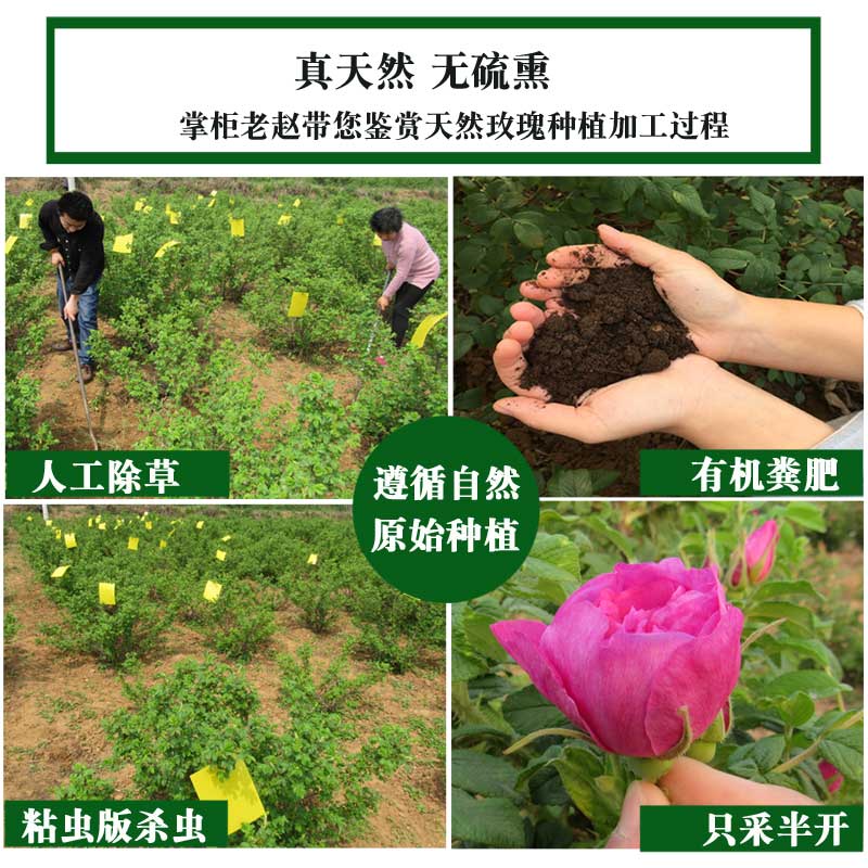 精选平阴玫瑰花茶干玫瑰非特级无硫熏重瓣玫瑰花冠茶大朵花冠王-图1