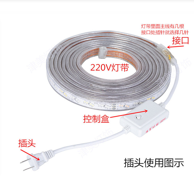 led灯带控制器闪烁插头220V镇流器二线三线四线彩灯跑马灯具配件-图2