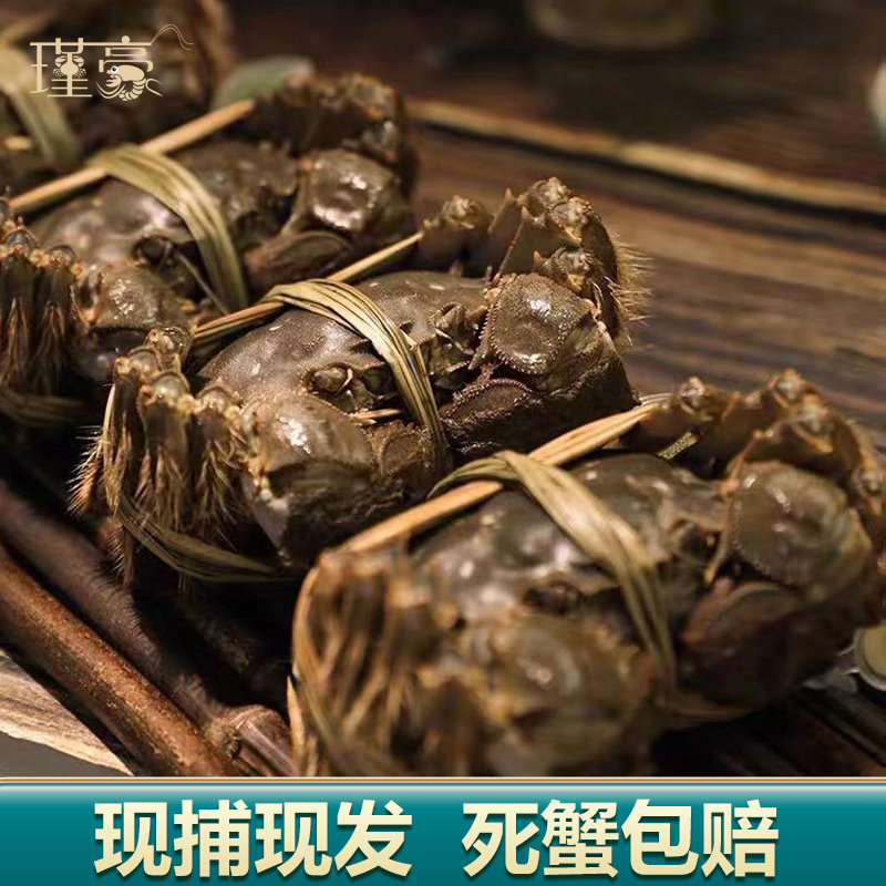 特大现货大闸蟹鲜活螃蟹10只海鲜水产全公母新鲜兴化红膏活蟹包邮,淘宝优惠券,粉丝福利购,淘宝优惠卷