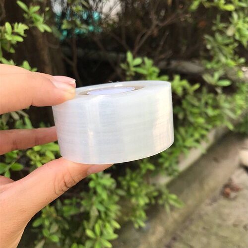 PE嫁接膜苗木果树嫁接专用膜缠绕膜自粘打包膜免打结透明拉伸薄膜 - 图1