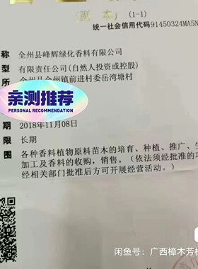 广西桂林。樟木樟脑精油。芳樟精油，原料精油100%纯