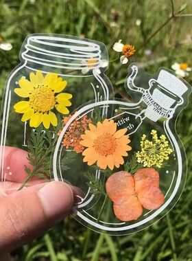 植物标本材料包透明树叶子