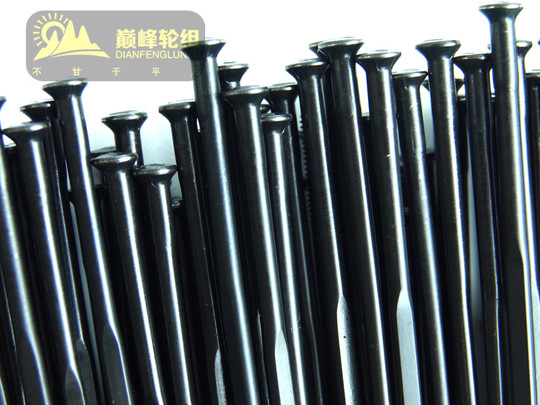 Imported stainless steel flat spoke Xieda broken wind