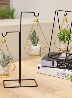 仿真植物多肉ins风电视柜摆件