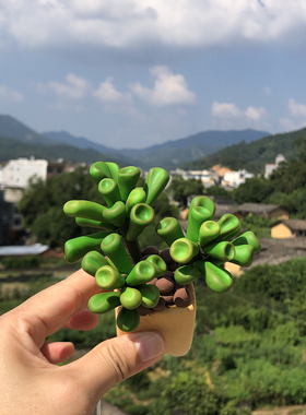 办公室多肉小盆栽可爱车载个性汽车装饰用公仔玩偶萌萌树脂纯手工