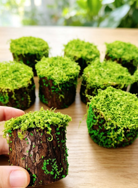 仿真苔藓树桩盆景布景装饰摆件森系仿真插花绿植造景庭院景观盆栽