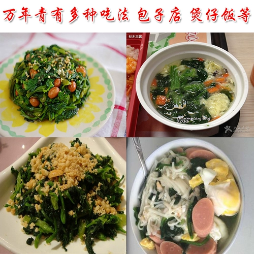 Специальный бутик Ningbo 500 г сушеные овощи, нежные овощи, обезвоженные овощи, сухие овощи, коммерческие экономически эффективные