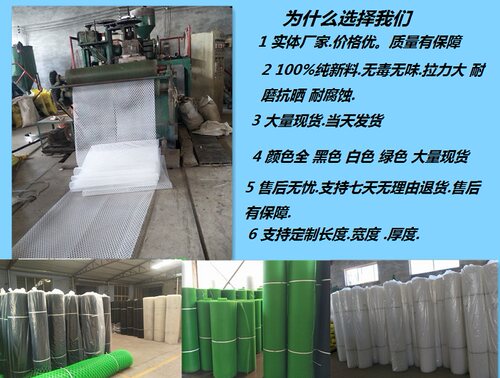 新品加厚塑料平网养蜂0.2孔脚垫养黄粉虫阳台防护隔离胶网家用 - 图1