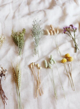 天然风干植物花卉DIY手工材料