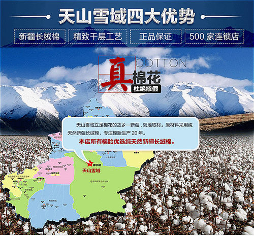 天山雪域棉胎棉花被芯新疆长绒棉被春秋冬被子千层无网棉絮工厂店-图1
