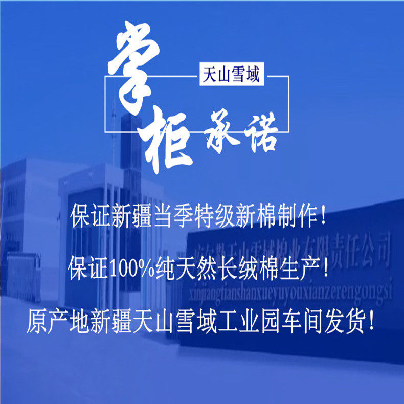 天山雪域棉胎棉花被芯新疆长绒棉被春秋冬被子千层无网棉絮工厂店,淘宝优惠券,粉丝福利购,淘宝优惠卷