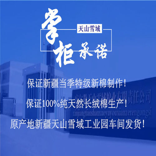 天山雪域棉胎棉花被芯新疆长绒棉被春秋冬被子千层无网棉絮工厂店-图2