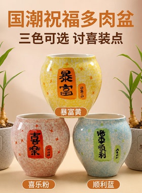 生姜绿植禄根专用陶瓷盆办公室桌面水培土培两用花盆创意摆件款式