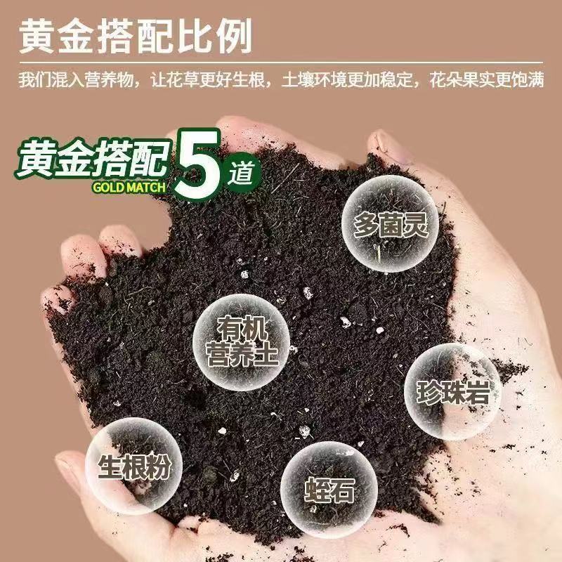 十二卷专用土多肉营养土玉露玉扇植物颗粒土种植花泥土有机腐殖土 - 图0