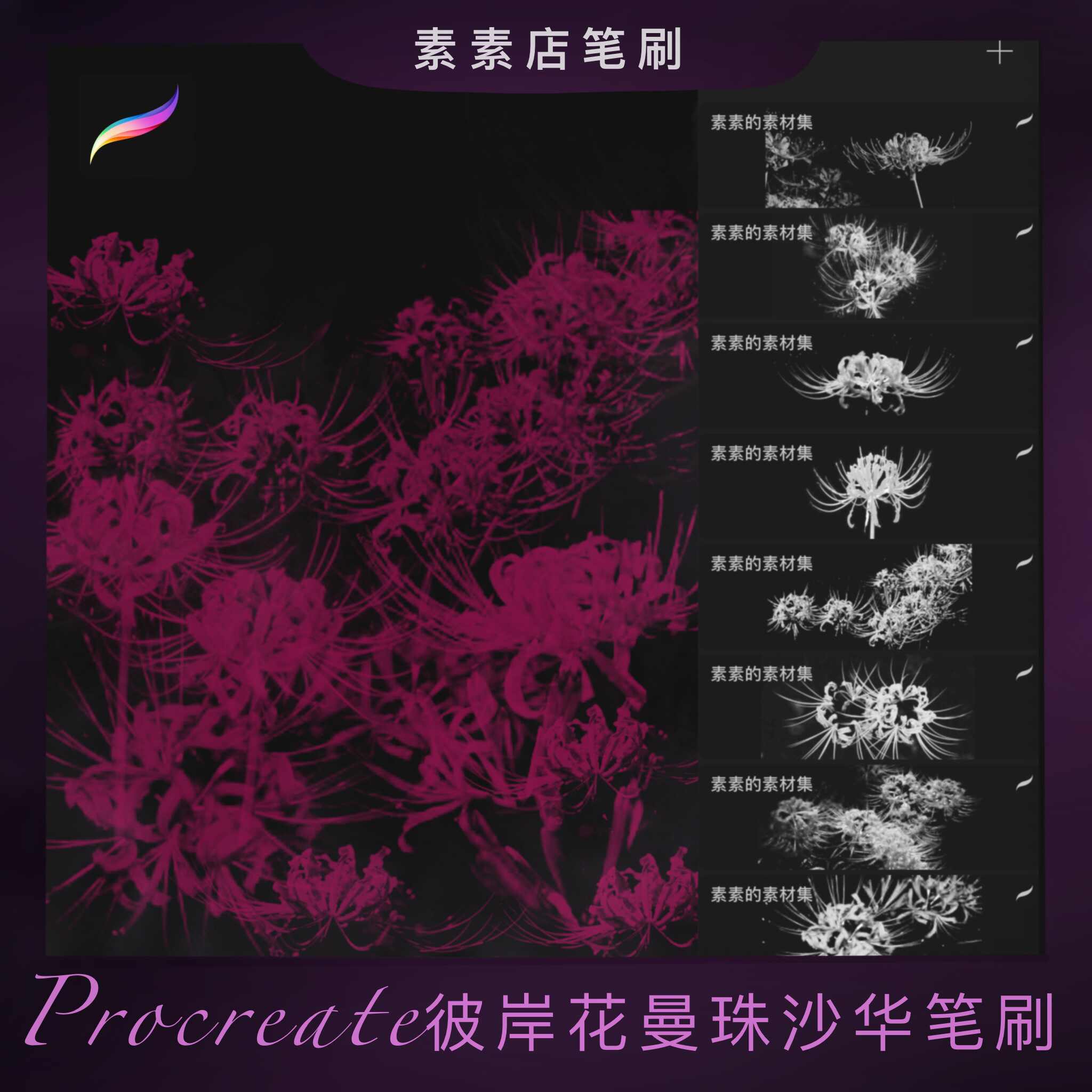 彼岸花素材 新人首单立减十元 22年6月 淘宝海外