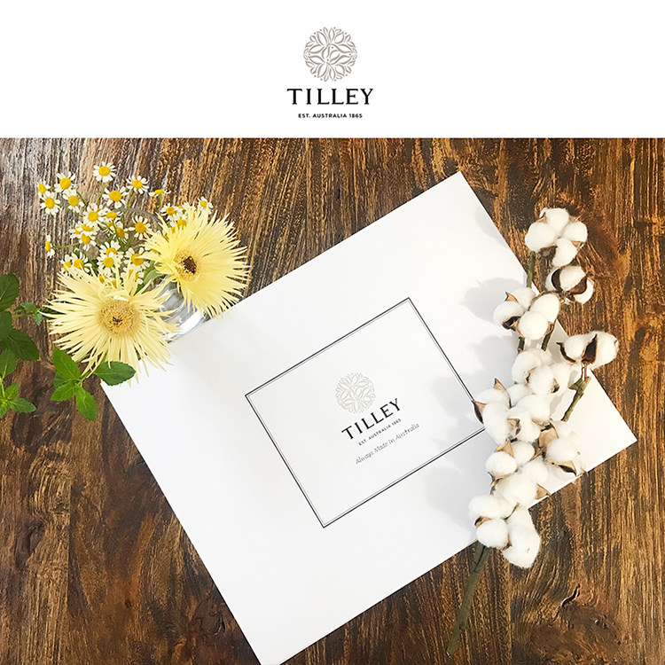 澳洲进口tilley礼盒套装身体乳香皂 普特森居家日用香皂