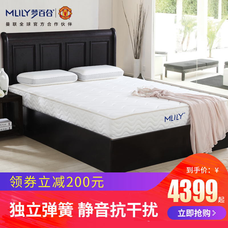 Mlily夢百合 記憶棉零壓慢回彈海綿護脊席夢思彈簧床墊雙人加厚