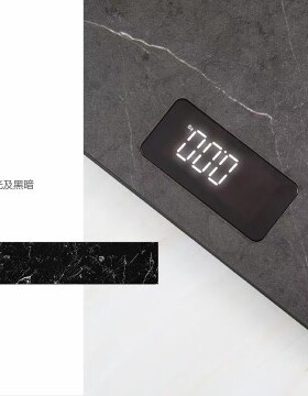 永衡电子秤，精准体重人体秤酒店热销款，原厂正品，欢迎选购