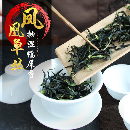 潮州凤凰单枞茶抽湿鸭屎香绿茶凤凰单丛茶叶2026新茶单纵茶单从茶 - 图1