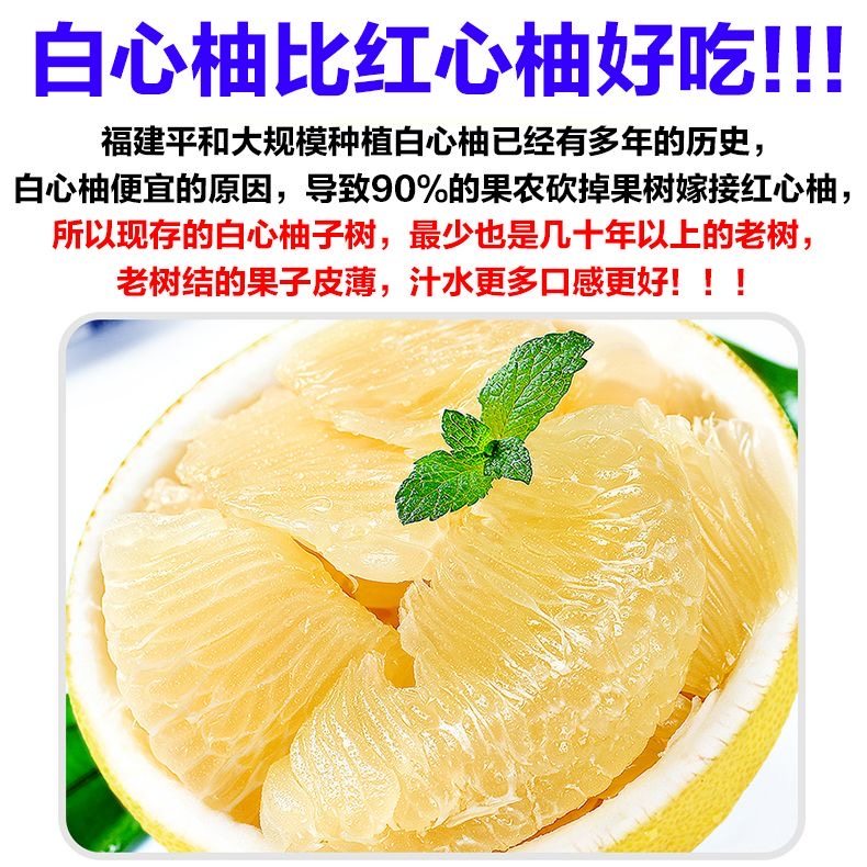 正宗福建平和白心蜜柚新鲜大果当季水果水晶蜂蜜柚子琯溪整箱包邮,淘宝优惠券,粉丝福利购,淘宝优惠卷