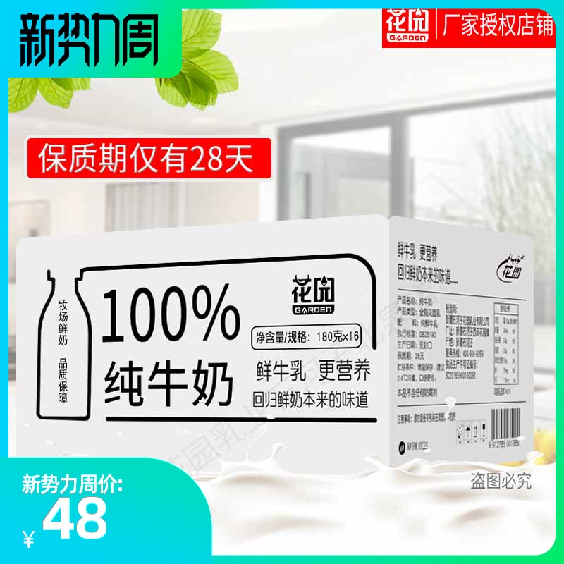 新疆特产石河子兵团花园纯牛奶180mlx16袋装常温全脂整箱营养早餐 - 图0