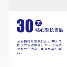 慢悠花房 夜魔侠 办公室阳台绿植园艺盆栽花卉庭院多肉,淘宝优惠券,粉丝福利购,淘宝优惠卷